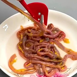 Combo 10 Chiếc Dao Mổ Cá Làm Lòng Gà Lòng Vịt Dễ Dàng Sử Dụng