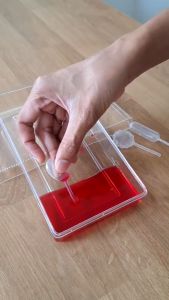 BUJOY หลอดบีบซอส  (50ชิ้น/แพค) หลอดบีบแยม ปิเปตบีบ หลอดบีบท็อปปิ้ง หลอดบีบ หลอดบีบรูปหัวใจ หลอดบีบหัวใจ หลอดบีบแยม