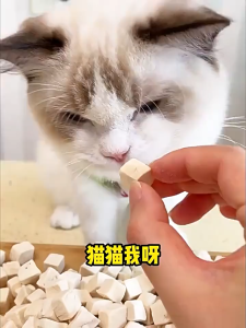 【SG ready stock】Top Value!!! Freeze Dried Chicken 500g Multiple Flavors  Snacks Cat Treats Cat Grass Dog Treats Cat Snacks Dog Snacks