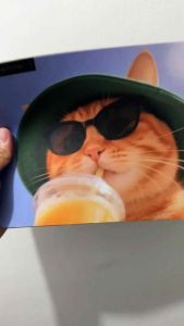 momorii Cat summer mouse pad Gaming deskpad Mouse pad (220mm x 180mm) compact deskmat