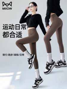 High-Waist Fitness Yoga Pants Womens Seamless Quick-Dry Running Base Layer Tight Pants Cat Person Sport Shark Pants