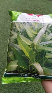 Benih Kangkung SALINA 1kg Cap Panah Merah