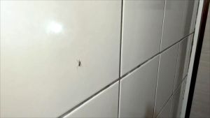 เครื่องดักดู ที่ดูดยุง ที่จับแมลง กับดักรอบทิศทาง เครื่องดักยุงช๊อตยุงและแมลง ดักยุง mosquito killer