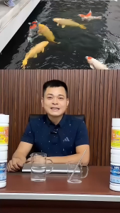 C SOCK VITAMIN C sản phẩm của (biotik) cho cá cảnh hồ koi giảm stress khử tím dạng sủi hộp 500g