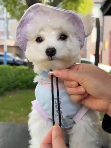 Pet Sunscreen Hat Dog Cat Outdoor Fisherman Cap With Ear Holes Adjustable Breathable Outdoor Hat