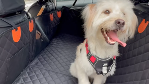 Lovinland Pet Car Booster Seat Carrier Portable Washable Dog Back Seat Cover Waterproof with Side Flap Thickening Anti Dirty Cat Puppy Small Animal Travel Cage Protector Mat