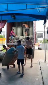 DREAMLUX Cartoon Bedsheet 4in1 | No Comforter | Knitted Cotton Bedding Set | Ultra-Soft & Breathable