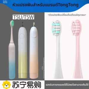 หัวแปรงสีฟันไฟฟ้า Lichu June หัวเปลี่ยนแบบอเนกประสงค์สำหรับแปรงสีฟันไฟฟ้า T5U/T5W ทำความสะอาดลึก อุปกรณ์เสริมสุขภาพสัตว์เลี้ยง