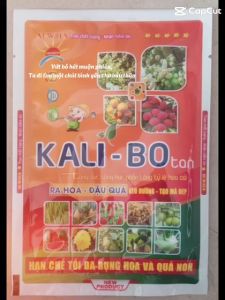 Phân Bón Kali Bo 100Gr – Bổ Sung Dinh Dưỡng Nâng Cao Sức Đề Kháng