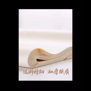 30pcs Kertas Kaligrafi / Kertas Xuan Zhi / Chinese Xuan Paper / Kaligrafi Paper