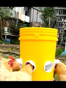 Automatic Gravity Chicken Duck Feeder Kit Rainproof Poultry Feeder for Feed Buckets Barrels Drums Troughs