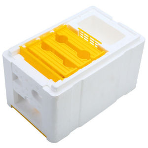 Queen Bee Rearing Mating Beehive Beekeeping Tool Foam Pollination Box Bee Breeding Foam Box Beekeeping Equipment