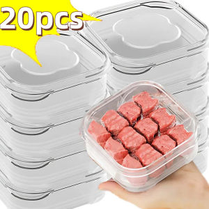 20pcs Frozen Meat Storage Box Refrigerator Drain Fresh-keeping Box Food Sealed Storage Box Meat and Egg Storage Box Refrigerated Food Fresh Box Seasoning Box