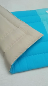 Nệm Cho Trẻ Sơ Sinh Đến 10 Tuổi Nệm Cho Bé Đi Học Mẫu Giáo Chất Cotton Mát_KImhome Nệm Kim Home Đa Dạng Kích Thước Nệm Trẻ Em Họa Tiết Dễ Thương Nệm Xanh Dương, Hồng, Kitty, Khủng Long - Lazada