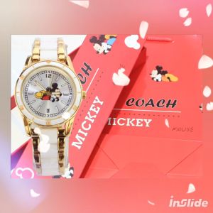 Jam Tangan Fashion Wanita Stenlist Tanggal Aktif Free Bok Dan Paper Bag