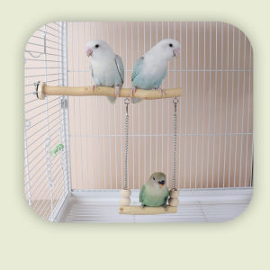 Weid Parrot Cage Stand Toy Bird Station Pole Pet Quail Feeder Accessory Playtime Platform Chewable Weid Brand Pet Supplies