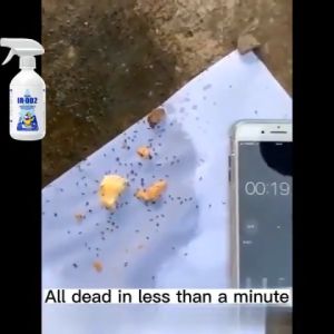 Imported from Australia: Anay Killer Spray - Effective Termite Control