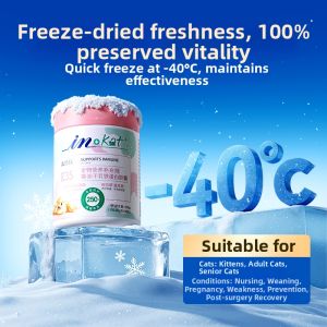 in plus | Lactose Free Immunity-Boosting Lactoferrin Supplement