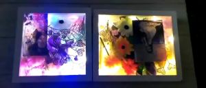 Creative Shadow Box: A Guide to DIY Flower Specimen Art, Medal Displays & 3D Photo Frames
