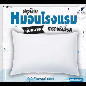 ปลอกหมอน ผ้าไมโครไร้ไรฝุ่น ปลอกหมอน ปลอกใส่หมอน สวมหมอน หมอน หมอนหนู