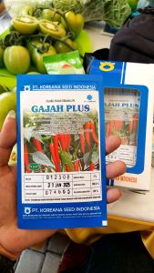 Benih Bibit Cabe Besar GAJAH PLUS F1 Tahan Layu Bakteri Toleran Virus