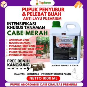 Pupuk Topfarm: Solusi Anti-Layu & Jamur pada Tanaman Cabe