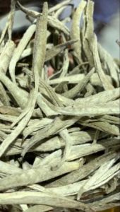 Bạch Trà Shan Tuyết Cổ Thụ Tà Xùa (Loại Phơi Nắng)