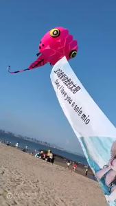 MaLaoSi Kite Tadpole kite flying big soft kites fabric adults kites animal kite professional kite goldfish kite large kites pipa