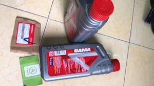 Nhớt xe số GAMA V 4T 20W50 1 LÍT