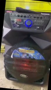 Skywalker-15 750Watts Portable Mobile Trolley Bluetooth Speaker by DB Audio (15 inch woofer)