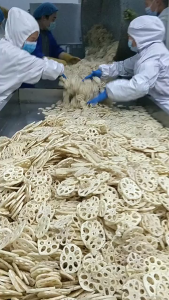 รากบัวอบกรอบ รากบัว  ขนาด 100 กรัม 250 กรัม 500 กรัม พร้อมทาน