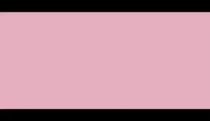 ONIKUMA CW905 3600 DPI Wireless Gaming Mouse: Features & Performance