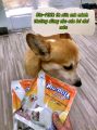Sữa bột dinh dưỡng cho chó mèo Bio milk for pet túi 100g - Medipet. 