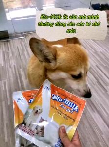 Sữa bột dinh dưỡng cho chó mèo Bio milk for pet túi 100g - Medipet