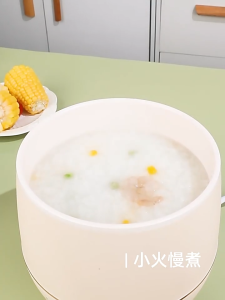 MEEVIDA Mini Electric Non-stick Pan Rice Cooker - Multicooker 4 programmes(Cook rice/congee/soup/Hotpot)Household Rice Cooker 电煮锅 -1.8L
