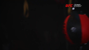 UFC Boxing / MMA Double-end Bag