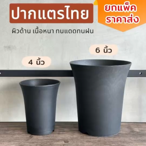 ยกแพ็ค ปากแตรไทย4นิ้ว และ6นิ้ว ปากแตรไทยเนื้อด้าน กระถางปากแตร