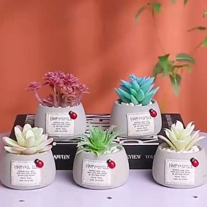 QSPT52 Pot Mini Tanaman Hias Bonsai 7 Varian Warna Warni Artificial Minimalis