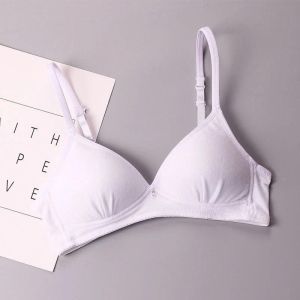 Girls Development Bra No Steel Ring