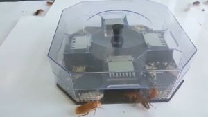 ที่ดักแมลงสาบ กับดักแมลงสาบ เจลแมลงสาบ ผงแมลงสาบ ไม่มีเหยื่อล่อ (นำกลับมาใช้ใหม่ได้)