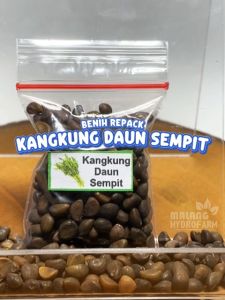 Benih Kangkung Daun Sempit Unggulan Berkualitas bibit biji repack bambu hydroponik hidroponik tanaman sayur sayuran