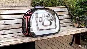 Transparent Pet Carrier Backpack Portable Space Capsule Design for Cats Dogs Foldable Travel Handbag