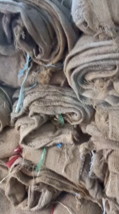 Combo 10 cái bao bố (tải đay) cũ dùng quấn cây tủ ẩm trãi sàn bê tông ...