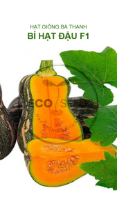 [EcoSeeds] Combo 2 Gói Hạt Giống Bí Đỏ Hạt Đậu F1 - Bí Đỏ Hồ Lô Thơm Dẻo Đặc Ruột Siêu Trái - Gói 2g