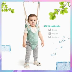 🔥พร้อมส่งสุดๆ🔥 สายพยุงหัดเดินเด็ก เป้ฝึกเดิน2ใน1 สำหรับทารก8-36เดือน+สายจูงพรีเมี่ยม (ของเล่นเด็ก อุปกรณ์ฝึกเดิน)