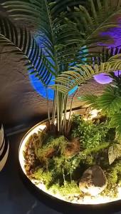 RGB Solar Spotlight Outdoor Solar Landscape Spot Powered Wall Lights Waterproof Color Change Garden Patio Walkway Decor