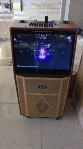 SKG ลำโพงล้อลาก คาราโอเกะ 10 นิ้ว 80wRms มีจอ 18.5นิ้ว พร้อม 2ไมค์คู่ รุ่น AV-8119 T2 -1 ลายไม้