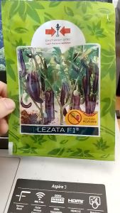 BENIH BIBIT TERONG LEZATA ISI 1100 BUTIR - Lazada