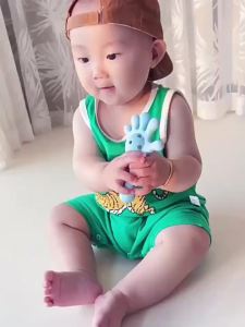 DreamBaby Mainan Kerincingan Bayi Rattle Teether Bayi Gigitan Bayi Bahan Silikon BPA Free