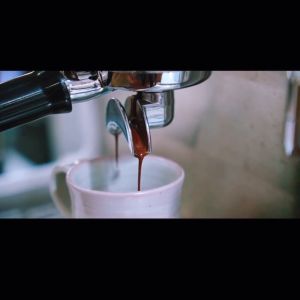 ANNIE - Brazil Fazenda Rio Verde Natural Omni Roast